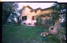 Agriturismo Roma: Villa Olcimia