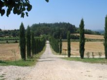 Agriturismo Arezzo: Poggiarello
