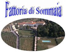 Agriturismo Firenze: Fattoria di Sommaia